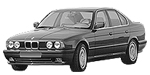 BMW E34 C205A Fault Code